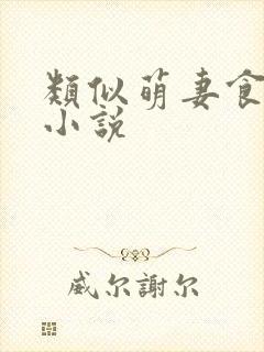 类似萌妻食神的小说
