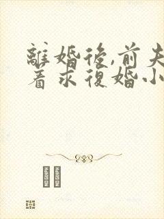 离婚后,前夫哭着求复婚小说正版封面