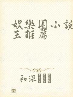 娱乐圈小说双男主推荐