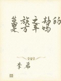 万族之劫的人王是方平吗