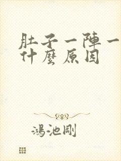 肚子一阵一阵痛什么原因