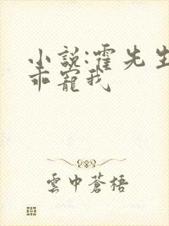 小说:霍先生乖乖宠我封面