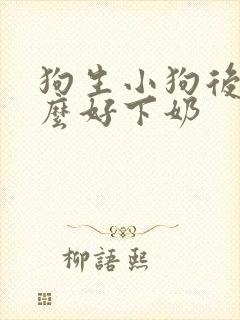 狗生小狗后吃什么好下奶封面