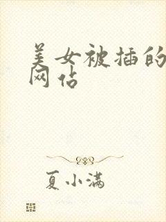 美女被插的视频网站