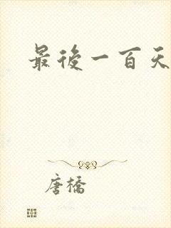 最后一百天小说