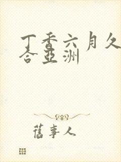 丁香六月久久综合亚洲