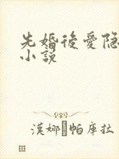 先婚后爱隐婚的小说