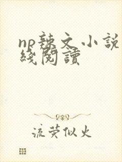 np辣文小说在线阅读