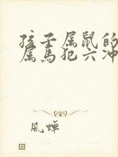 孩子属鼠的父母属马犯六冲怎么办