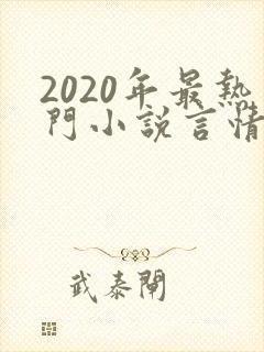 2020年最热门小说言情