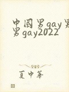 中国男gay男男gay2022