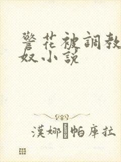 警花被调教成女奴小说