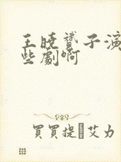 王晓赟子演过哪些剧啊