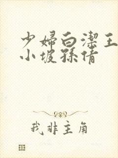 少妇白洁王申高小坡孙倩封面