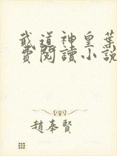 武道神皇叶辰免费阅读小说