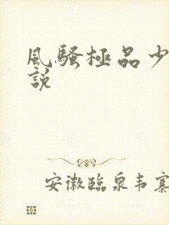 风骚极品少妇小说