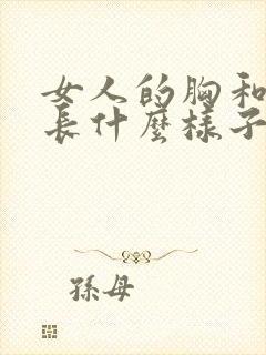 女人的胸和屁股长什么样子