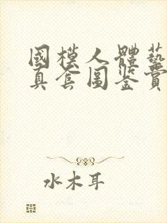 国模人体艺术写真套图鉴赏