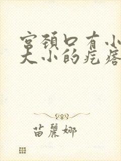 宫颈口有小米粒大小的疙瘩怎么回事