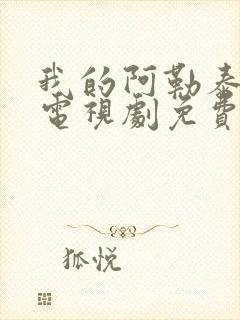 我的阿勒泰高清电视剧免费观看