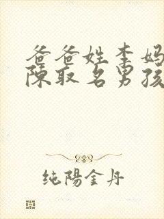 爸爸姓李妈妈姓陈取名男孩封面