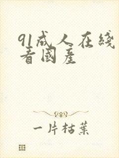 91成人在线观看国产封面