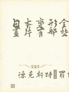 日本变形金刚动画片有哪些