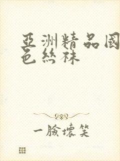 亚洲精品国产黑色丝袜