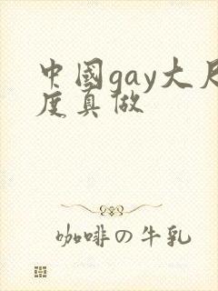 中国gay大尺度真做封面