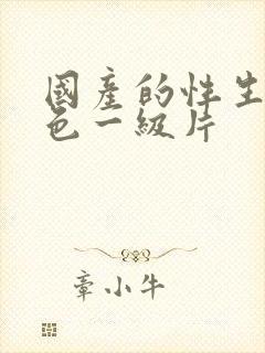 国产的性生活黄色一级片封面