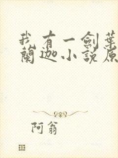 我有一剑叶观纳兰迦小说原文免费阅读