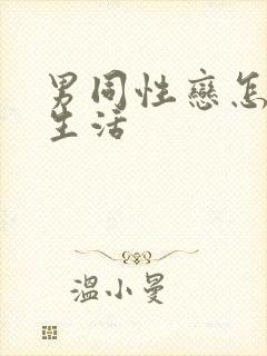 男同性恋怎样性生活