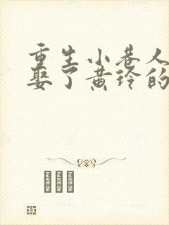 重生小巷人家之娶了黄玲的小说