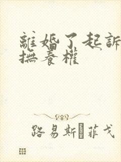 离婚了起诉孩子抚养权