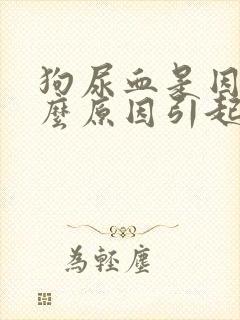 狗尿血是因为什么原因引起