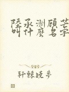 陆承洲顾芒小说叫什么名字