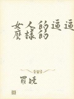 女人的逼逼是什么样的