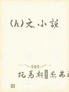(h)文小说