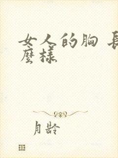 女人的胸 长什么样