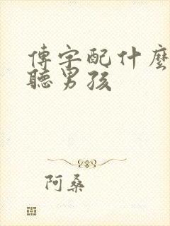 传字配什么字好听男孩封面