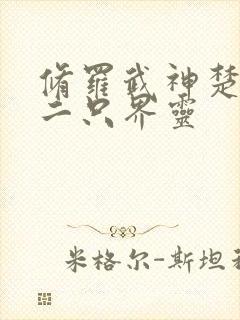 修罗武神楚枫第二只界灵封面