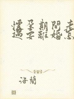 怀孕期间老公外遇要离婚怎么办