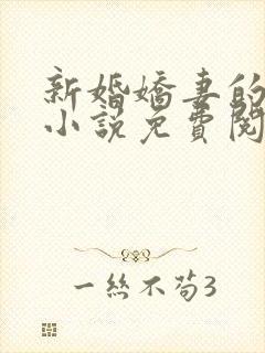 新婚娇妻的秘密小说免费阅读