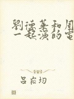 刘德华和周星驰一起演的电影