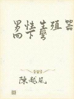 男性生殖器有点向下弯封面