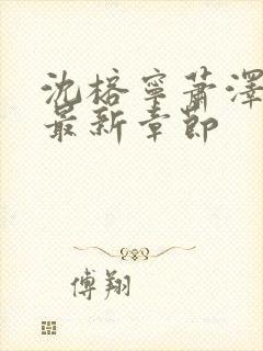 沈榕宁萧泽小说最新章节封面