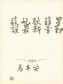 苏屹耿薛星眠小说最新章节更新内容封面