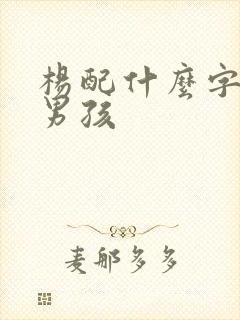 杨配什么字好听男孩封面