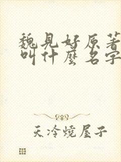 魏见好原著小说叫什么名字