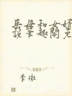 岳母和女婿的小说笔趣阁免费阅读全文